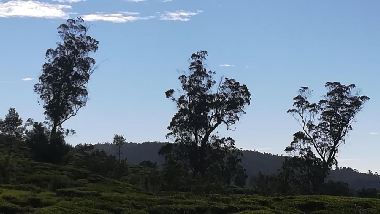 The Paul Woods Hotel Nuwara Eliya Exterior foto